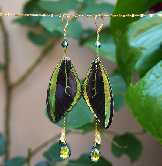 Forest Fae Earrings