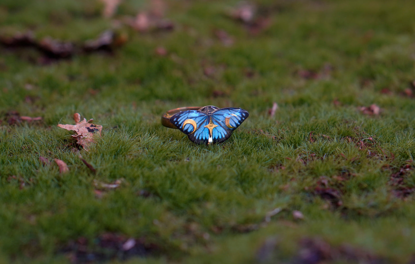 Wanderer Butterfly Ring