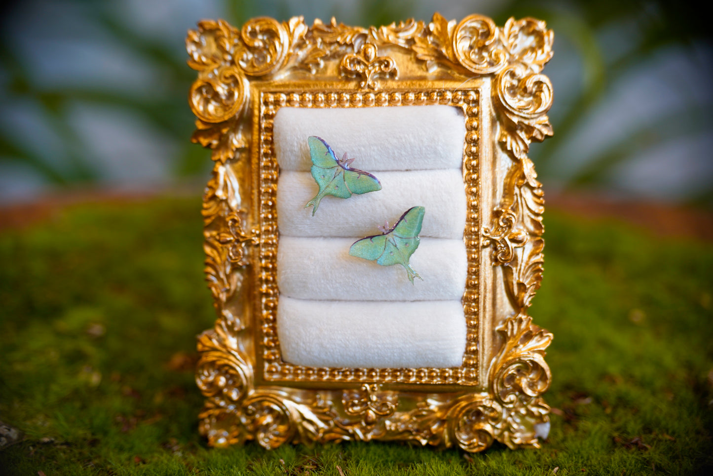 Luna Moth Studs