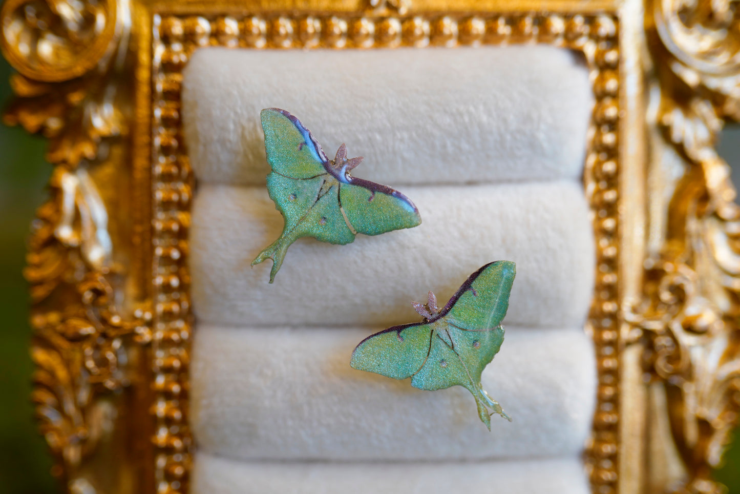 Luna Moth Studs