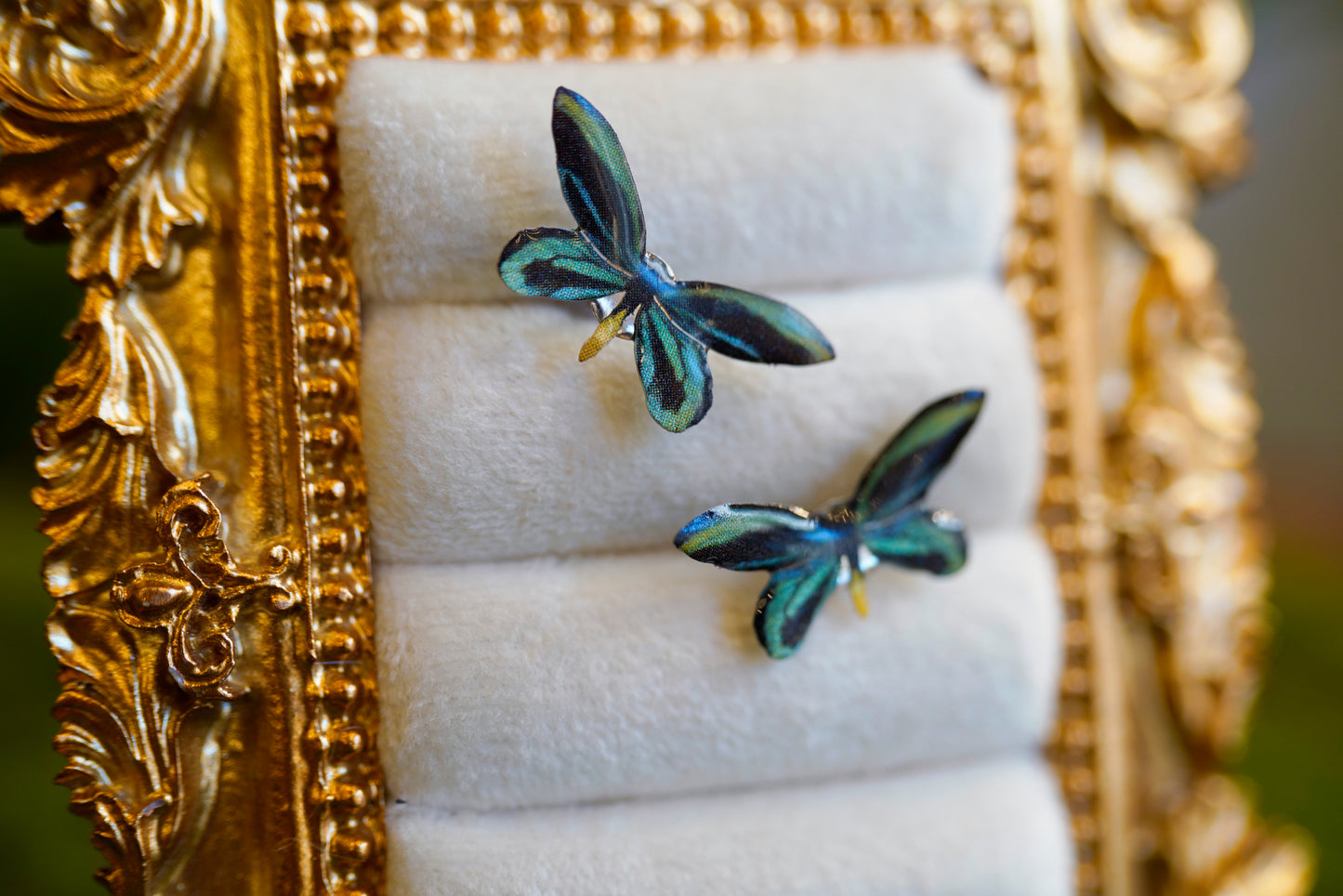 Birdswing Butterfly Studs