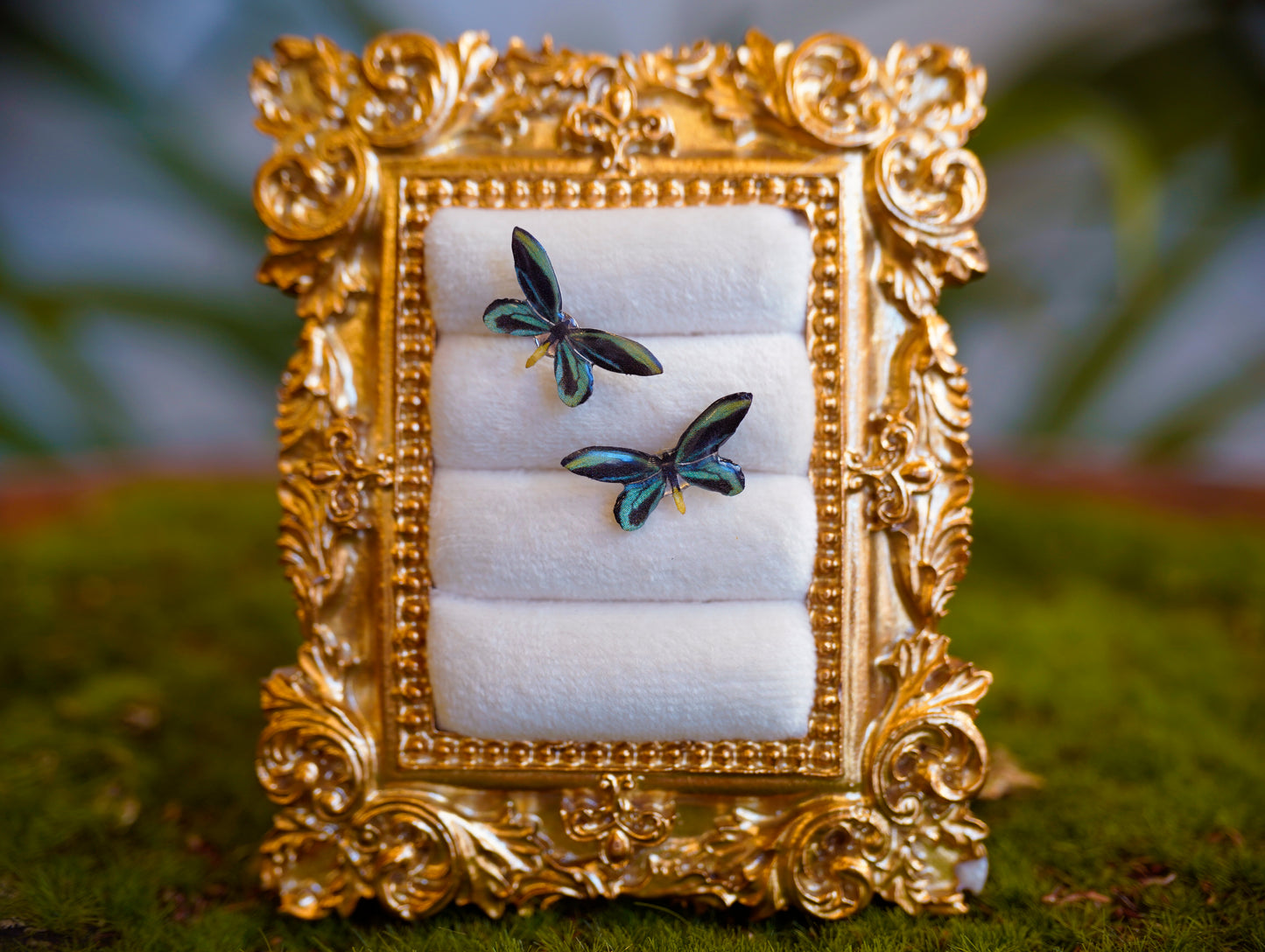 Birdswing Butterfly Studs