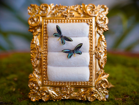 Birdswing Butterfly Studs
