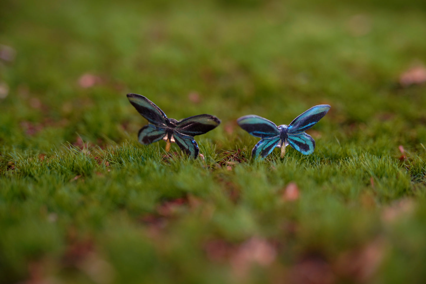 Birdswing Butterfly Studs