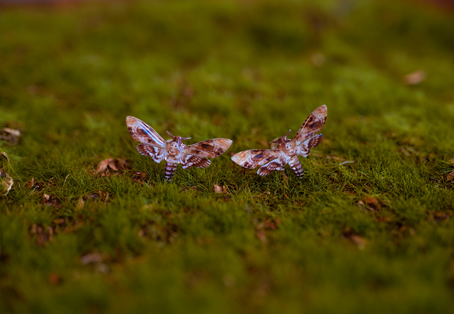 Death Moth Studs