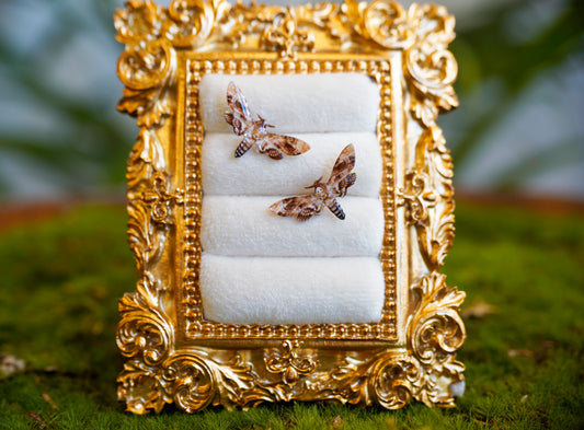 Death Moth Studs