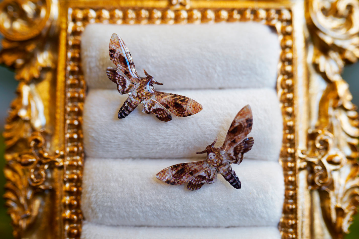 Death Moth Studs