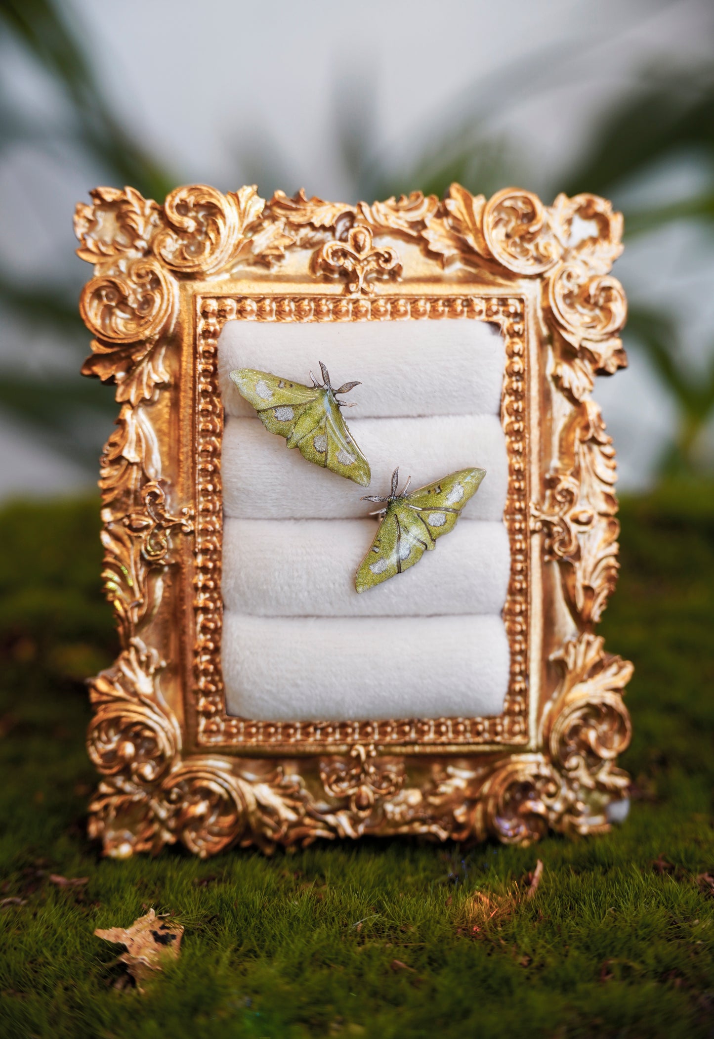 Moonlight Queen Moth Studs