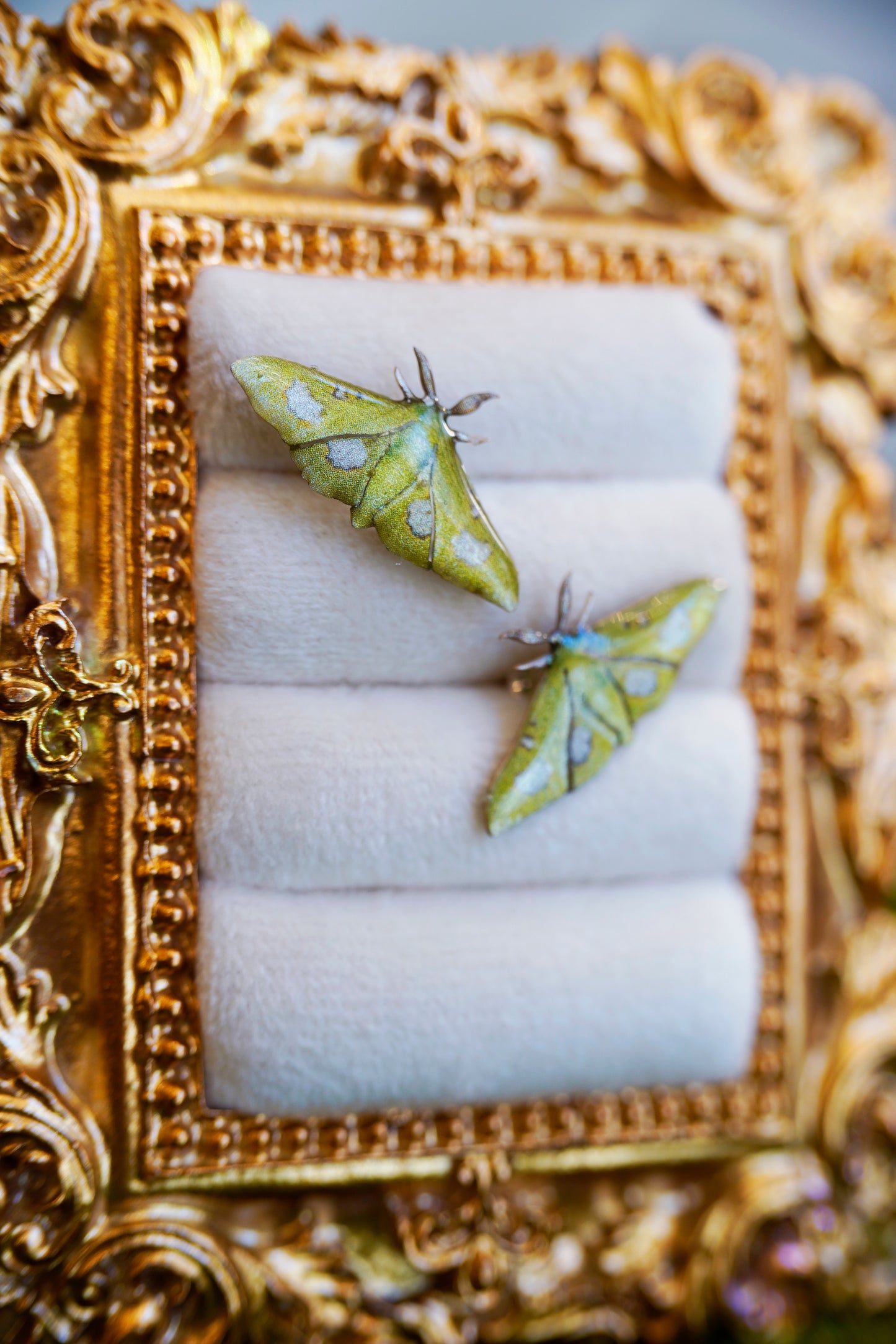 Moonlight Queen Moth Studs