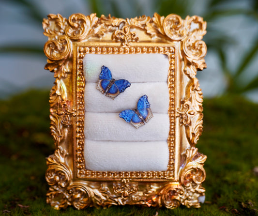 Blue Mother of Pearl Butterfly Studs