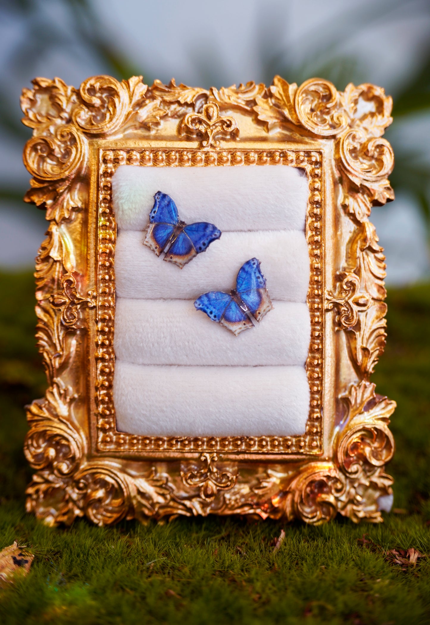 Blue Mother of Pearl Butterfly Studs
