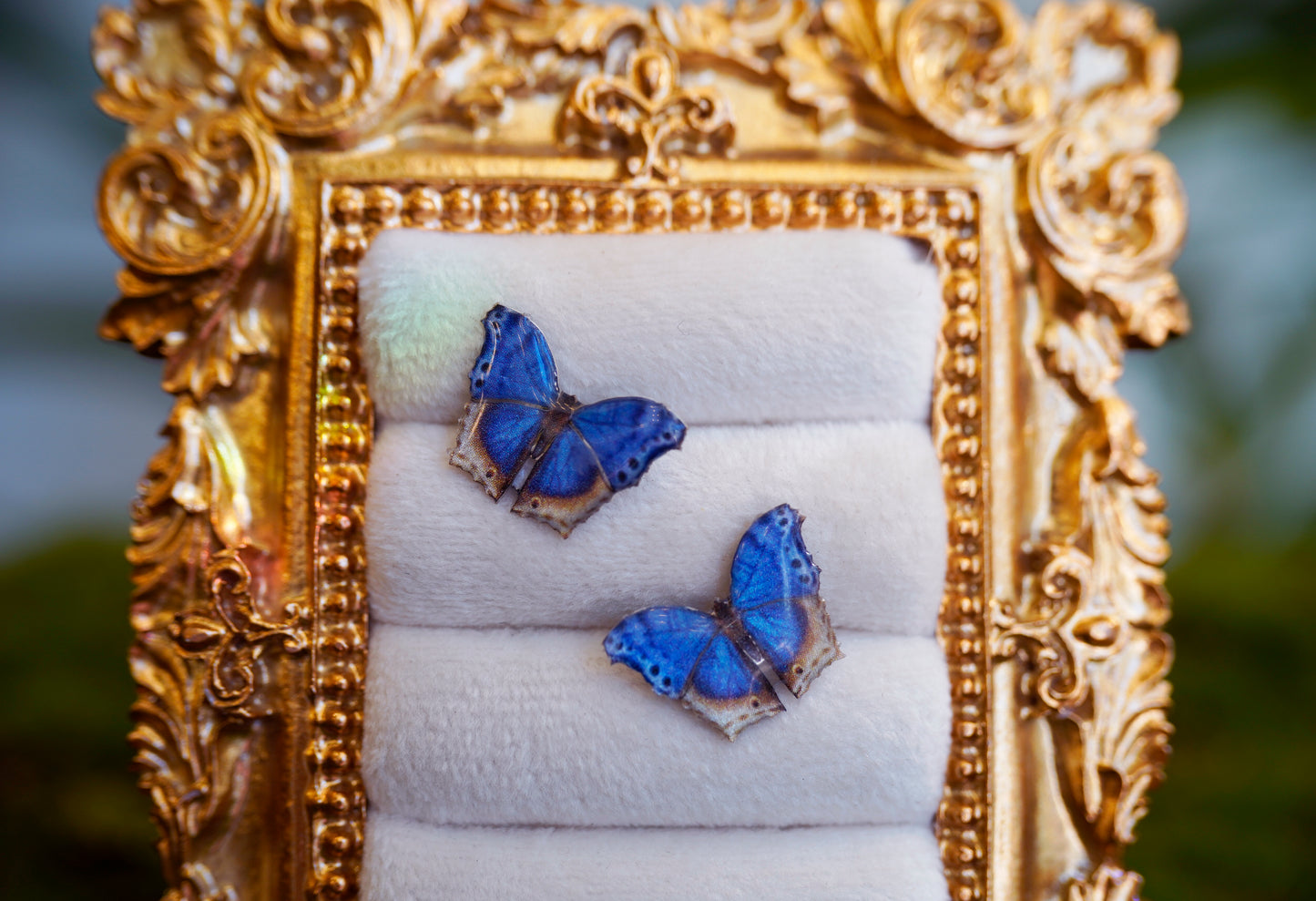 Blue Mother of Pearl Butterfly Studs