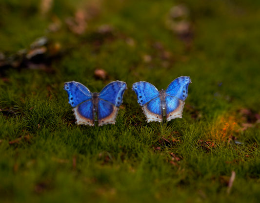 Blue Mother of Pearl Butterfly Studs