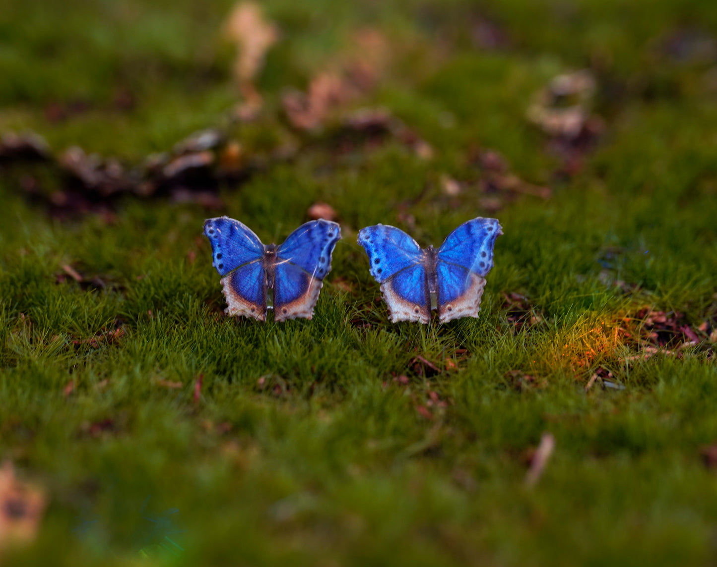Blue Mother of Pearl Butterfly Studs