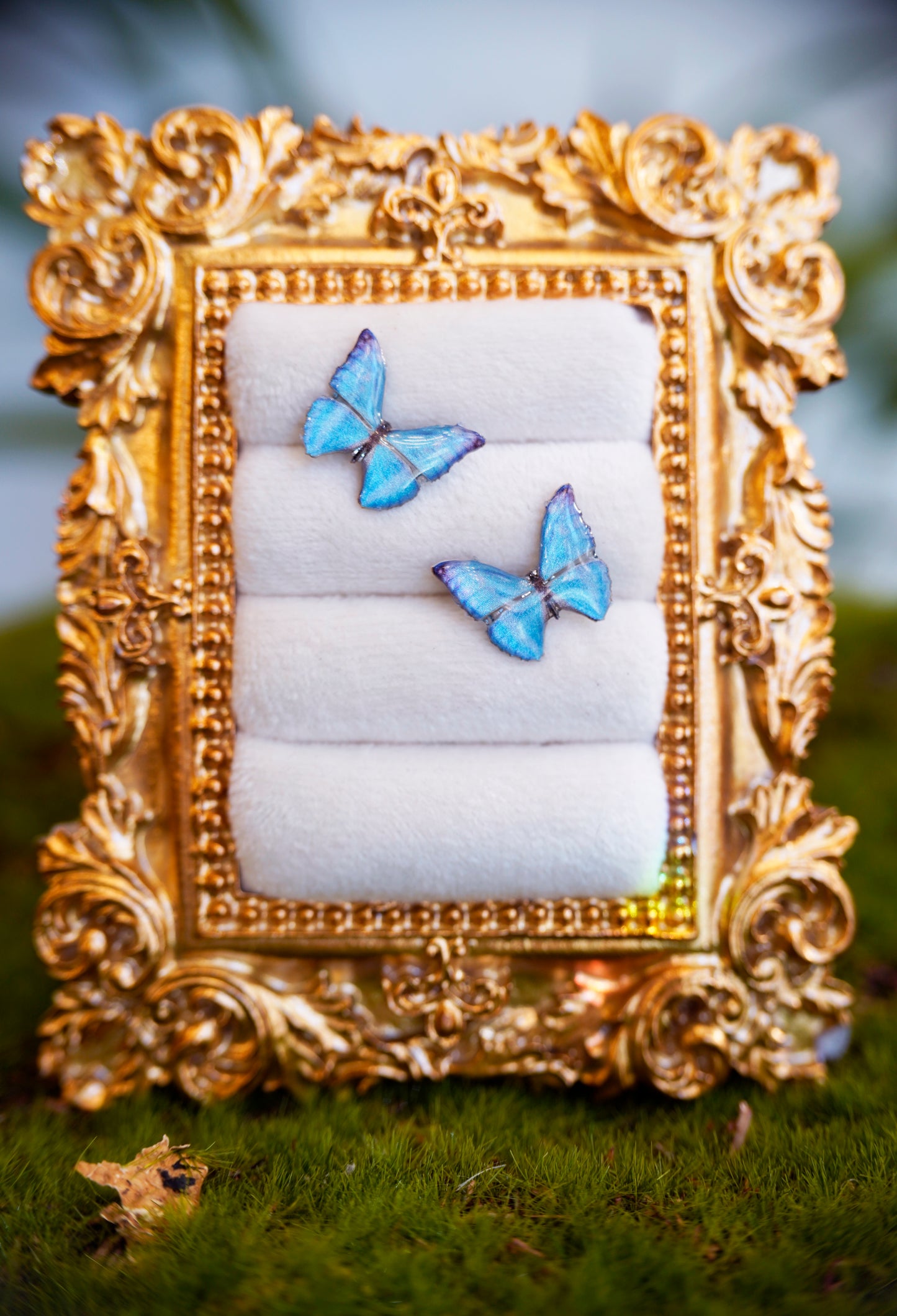 Zephyritis Butterfly Studs