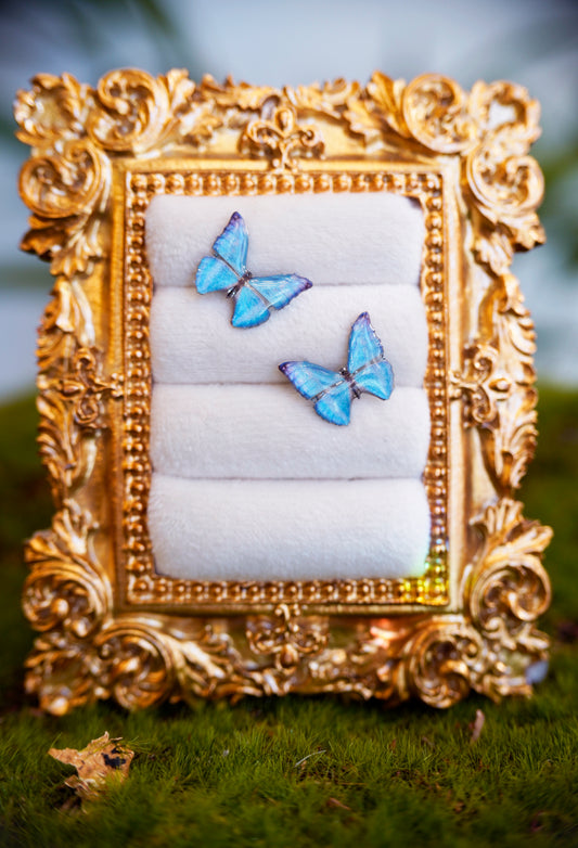 Zephyritis Butterfly Studs