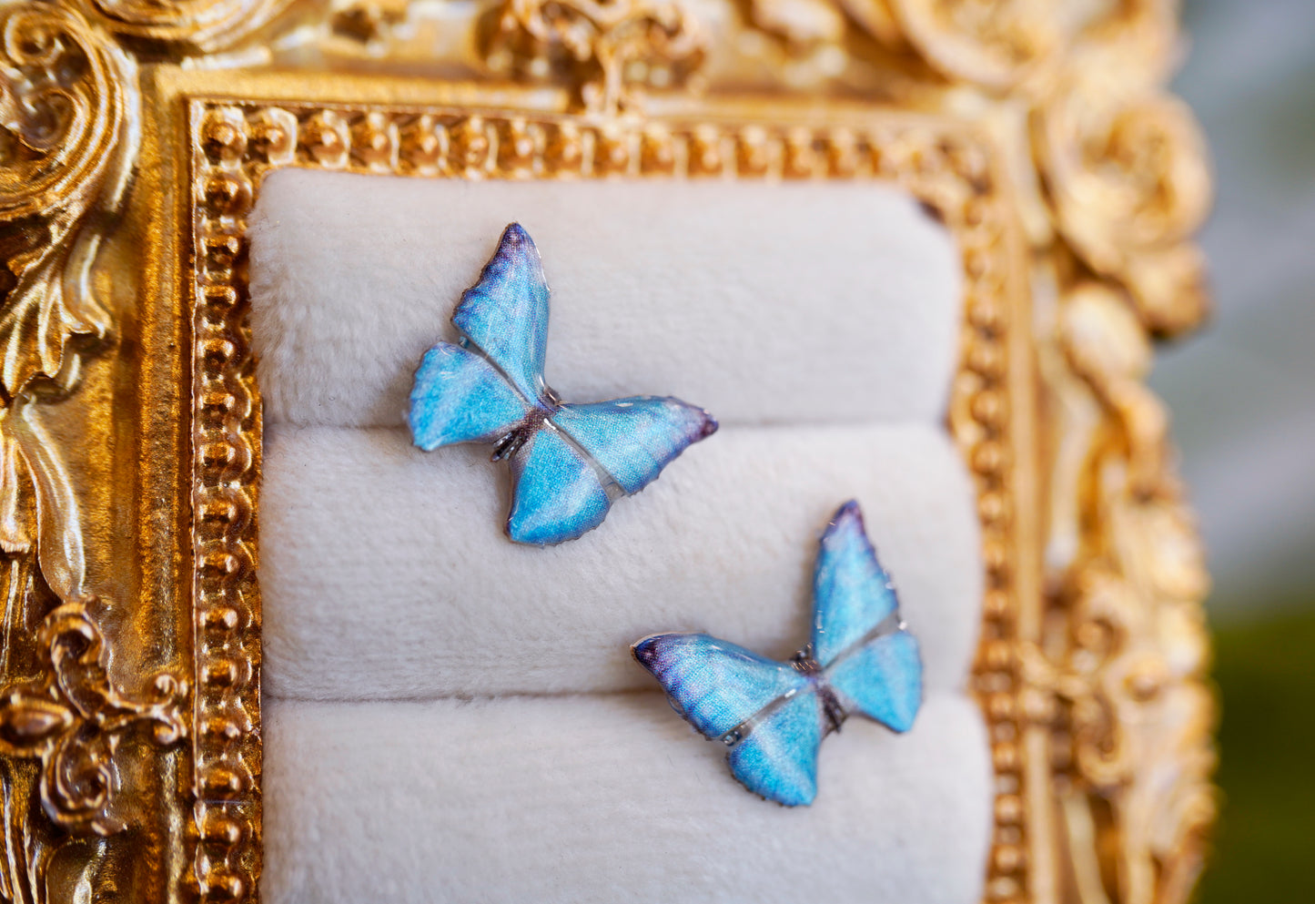 Zephyritis Butterfly Studs
