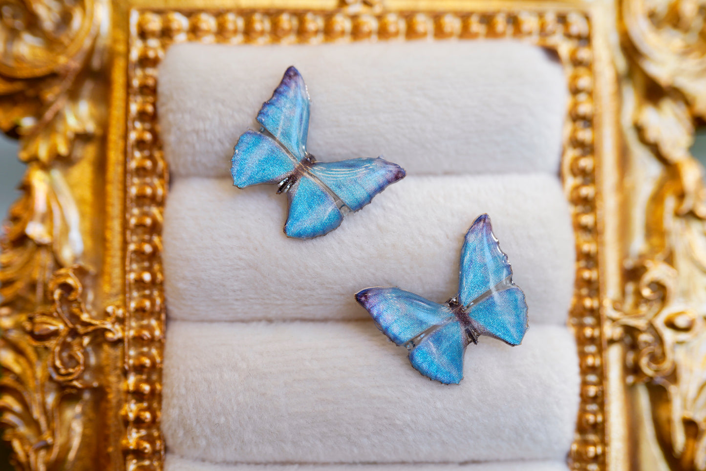 Zephyritis Butterfly Studs