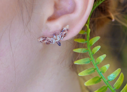 Death Moth Studs