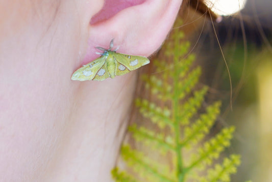 Moonlight Queen Moth Studs