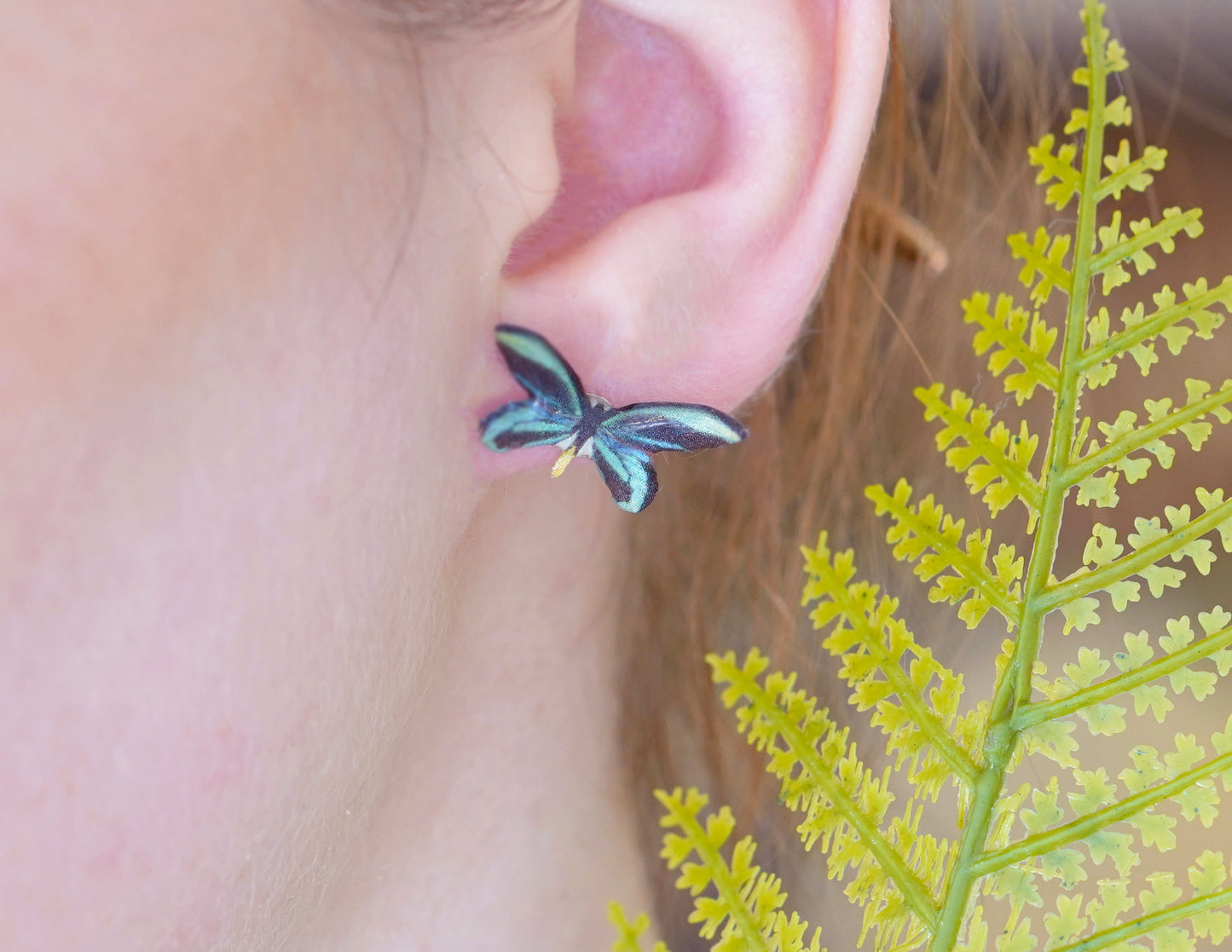 Birdswing Butterfly Studs