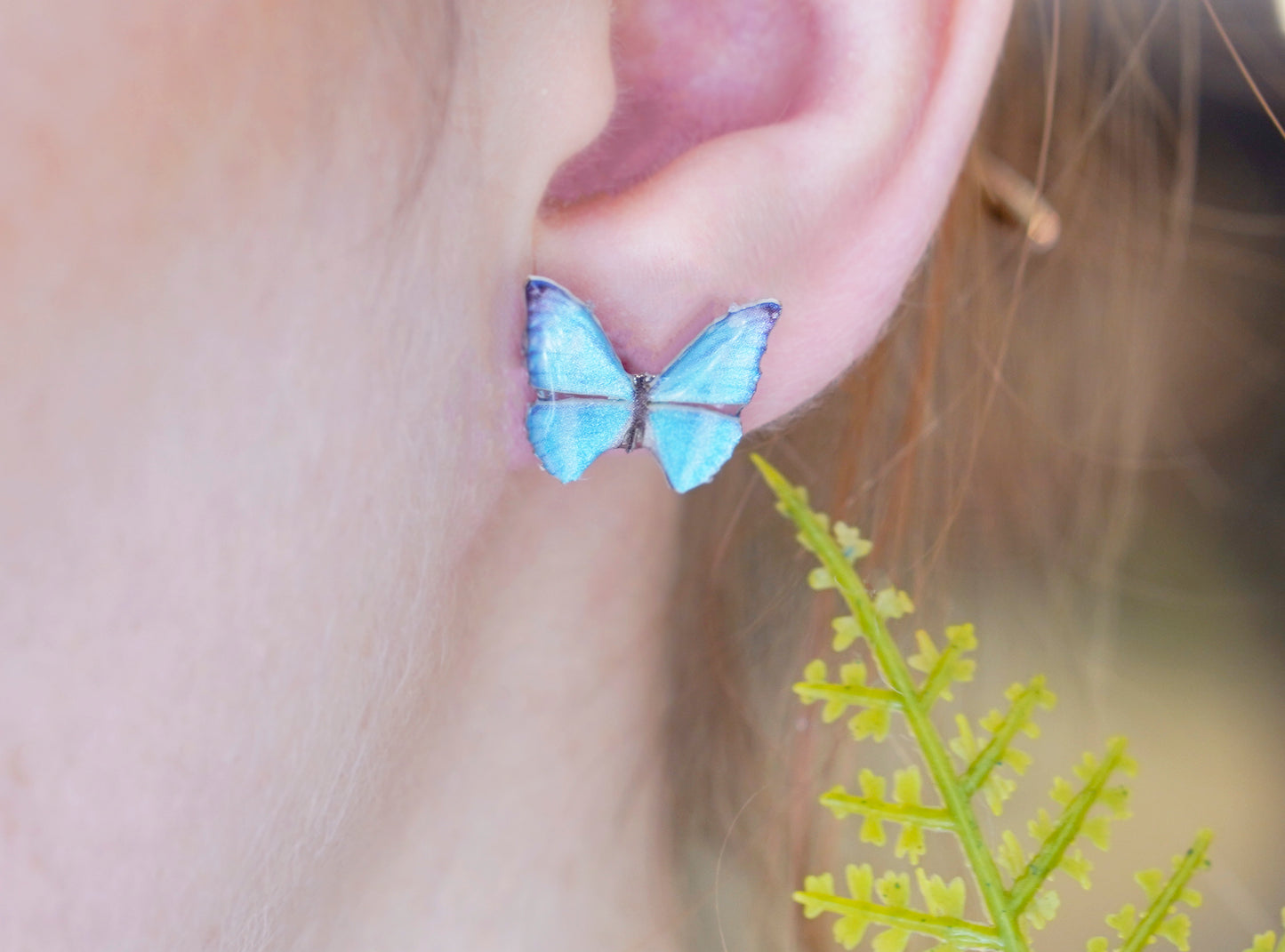 Zephyritis Butterfly Studs