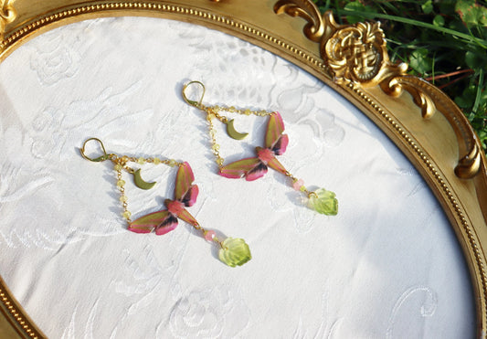 Deilephila Elenor Moth Earrings
